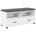 vidaXL Predsieňová lavica Biely 100 x 38 x 46 cm