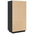 vidaXL Vysoká skrinka čierna 60x40x116,5 cm masívna borovica