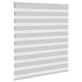 vidaXL Zebra roleta svetlosivá 120x100cm šírka látky 115,9cm polyester