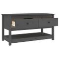 vidaXL Konferenčný stolík sivý 102x49x55 cm borovicový masív