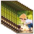 vidaXL Fotorámiky na stenu alebo stôl 10 ks bronzové 18x24 cm MDF