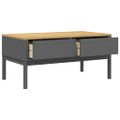 vidaXL Konferenčný stolík FLORO sivý 99x55,5x45 cm masívna borovica