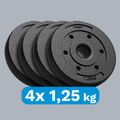 Sada bitumenových závaží 4x1,25 kg, 31 mm, REBEL ACTIVE RBA-2100