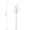 vidaXL Vianočný stromček/vŕba 180 LED 1,8 m, teplá biela, dovnútra/von