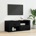 vidaXL TV skrinka 100 x 35 x 40 cm Čierny dub Kompozitné drevo