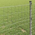 vidaXL Euro plot 1 x 10 m Železo potiahnuté PVC