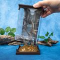 Harry Potter Magical Creatures - soška ukrajinského železnobruchého draka