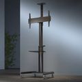 SBOX TV Floor stand on wheels FS-446-2