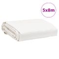 vidaXL Celta biela 5x8 m 650 g/m²