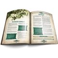 Dragonbane Core Boxed Set