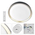 LED nástenné svietidlo ILVI, kruhové 45 W, stmievanie + CCT, čierna + šampanská