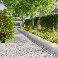 vidaXL Obrubník trávnika 10 ks 25 x 103 cm Nehrdzavejúca oceľ