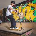 Freestyle kolobežka NILS Extreme HS202 Zlatá