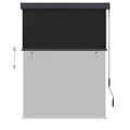 vidaXL Vonkajšia zatemňovacia roleta 120x250 cm antracitová