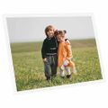 vidaXL Fotorámiky na stenu alebo stôl 5 ks biele 29,7x42 cm MDF