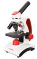 (SK) Mikroskop Levenhuk Discovery Pico
