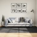 vidaXL Koberec IZA krátky vlas škandinávsky vzhľad antracit 160x230 cm