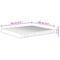vidaXL Penový matrac stredne mäkký 200x200 cm