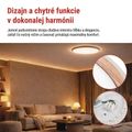 LED nástenné svietidlo ILVI, kruhové 45 W, stmievanie + CCT, drevo