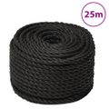 vidaXL Pracovné lano čierne 10 mm 25 m polypropylén