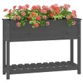 vidaXL Kvetináč s policou sivý 111,5x34,5x81 cm masívna borovica