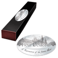 Prútik Fleur Delacourovej