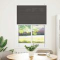 vidaXL plisovaná roleta čierna 95x100 cm Šírka látky 94,4 cm