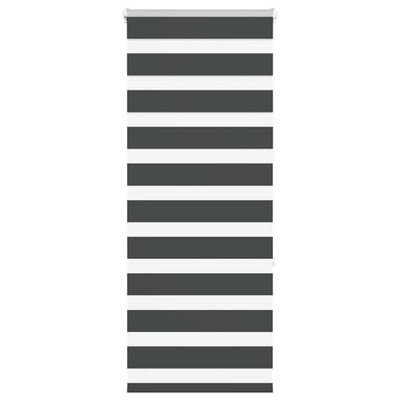 vidaXL Zebra roleta čierna 60x150 cm šírka látky 55,9 cm polyester