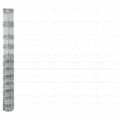 vidaXL Zváraný drôtový plot s hrotmi 50 x 1,4 m Pozinkovaná oceľ