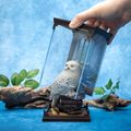Harry Potter Magical Creatures - soška Hedvigy