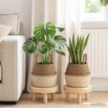 vidaXL Kvetináč s uchami 2 ks Biela Ø 22 x 20 cm 100% Morská tráva