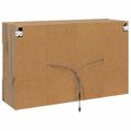 vidaXL TV nástenná skriňa 98,5 x 30 x 60,5 cm Remeselný dub