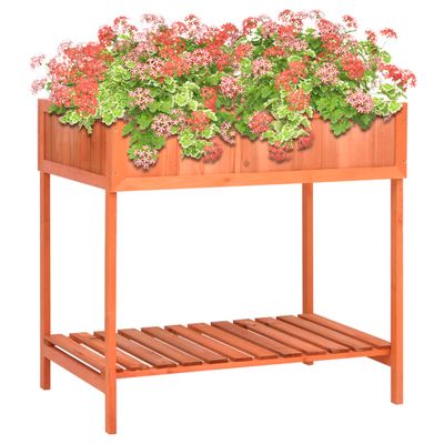 vidaXL Kvetináč na bylinky 80x60x80 cm masívne jedľové drevo