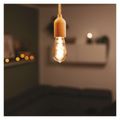 LED žiarovka DECO SMOKED ST64 / E27 / 4,5 W (19 W) / 180 lm / flame