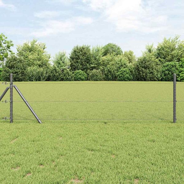 vidaXL Vonkajší šesťuholníkový fénový základný upevňovač 25 x 0,8 m