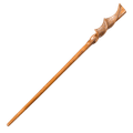 Prútik Parvati Patilovej