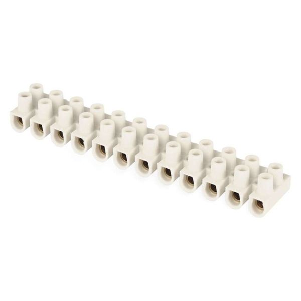 Skrutková svorkovnica 12× 6–10 mm2, 450 V, biela