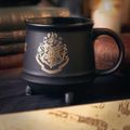 Hrnček Harry Potter - 3D Kotlík
