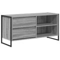 vidaXL TV skrinka 100 x 36 x 49,5 cm Sivý Sonoma Kompozitné drevo