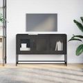 TV skrinka vidaXL Čierna 100,5x39x60,5 cm Oceľ valcovaná za studena
