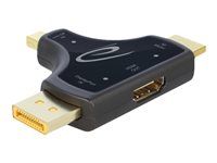 Video/audio adaptér - HDMI, DisplayPort, Mini DisplayPort s kolíkmi (samec) na HDMI so zdierkami (samica) - antracit - podporuje 4K