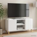 vidaXL TV skrinka 102 x 34,5 x 50 cm Biela s vysokým leskom