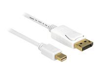 Kábel DisplayPort - DisplayPort (M) na Mini DisplayPort (M) - 5 m - biela