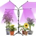 Lampa pre rast rastlín Gardlov 19388, 4 ramená Lampa pre rast rastlín Gardlov 19388, 4 ramená