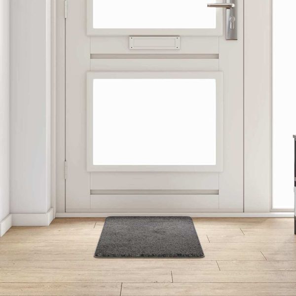 vidaXL Behúň koberec Sivá 50 x 100 cm 100% Polypropylén Tuft