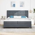 vidaXL Posteľ s pružinovým rámom Tmavo šedá 200 x 200 cm Zamat