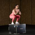 Plyo Box HMS DSC02