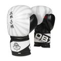 Boxerské rukavice DBX BUSHIDO B-2v8 14 oz
