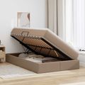 vidaXL Postel s úložným prostorem a matrací Kapučínová 120 x 190 cm