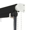vidaXL Zaťahovacia markíza s LED 400x150 cm antracitová